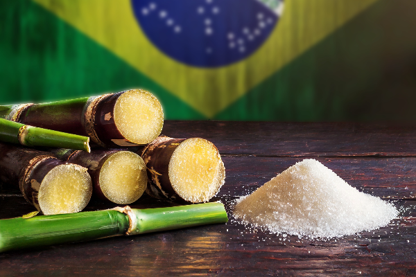 Premium Brazilian Sugar – Wholesale Supply